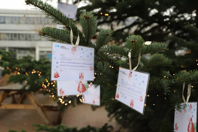 2025-11-28 Start Wunschbaum Aktion Rheinbach_Foto Martin Schulz (68)