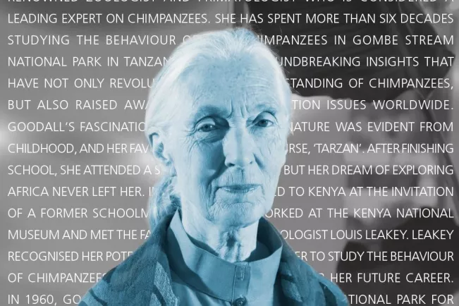 Jane Goodall Visionäre Forscherinnen