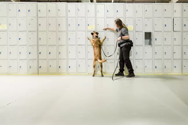 Image ISF Odorologie Spürhund Schliessfächer Rhb Eric Lichtenscheid 