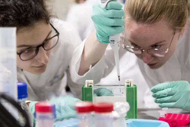 anna praktikum biologie volk Rhb Halle K 20220519 foto eric lichtenscheidt 24 fs22.jpg