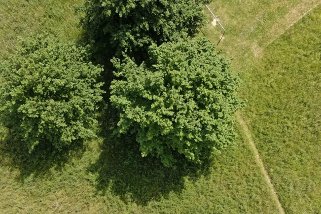 EcoTwin Testfläche H-BRS Drohne