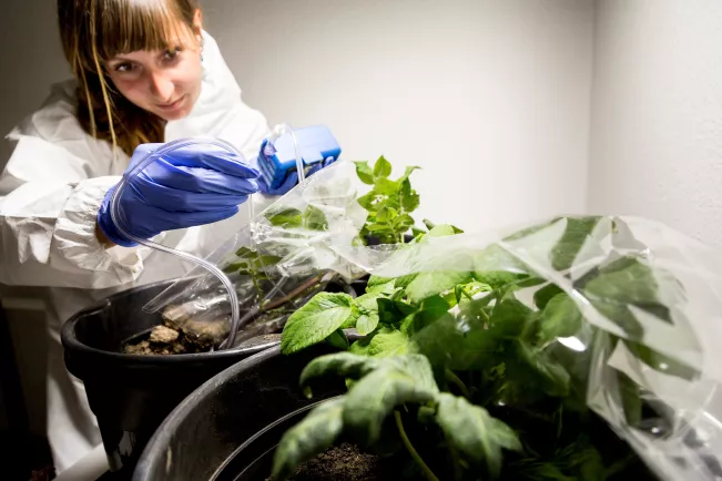 H-BRS ISF Doktorandin Sarah Vermeeren im Labor 2022 Foto H-BRS