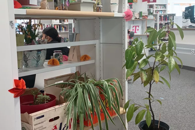 Pflanzentauschbörse Bibliothek Sankt Augustin