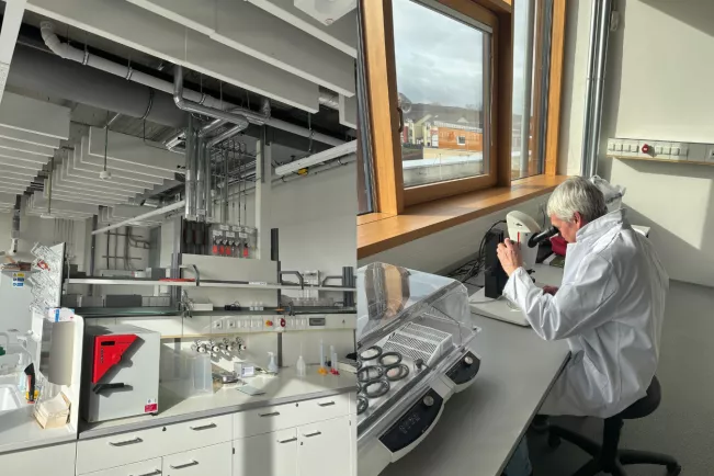 Labor in Rheinbach von Martin Hamer