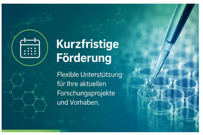 20260803_OpenAI-kurzfristige Förderung_MLH.png 