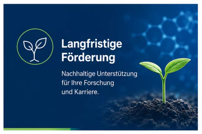 20260803_OpenAI-langfristige Förderung_MLH.png 