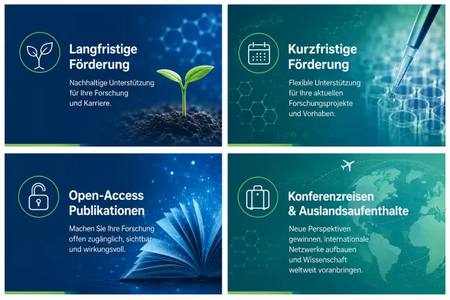 20260803_openAIgenerated_Förderung_PhDs_MLH