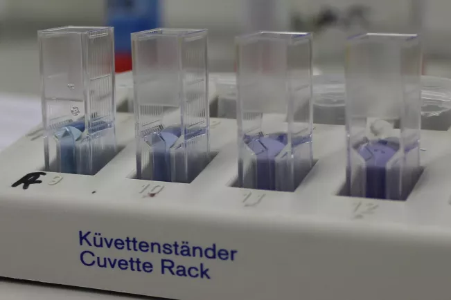 fb05_banner_modul_biochemie.jpg (DE)