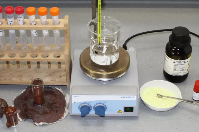 fb05_banner_modul_makromolekulare_chemie_v3.jpg (DE)