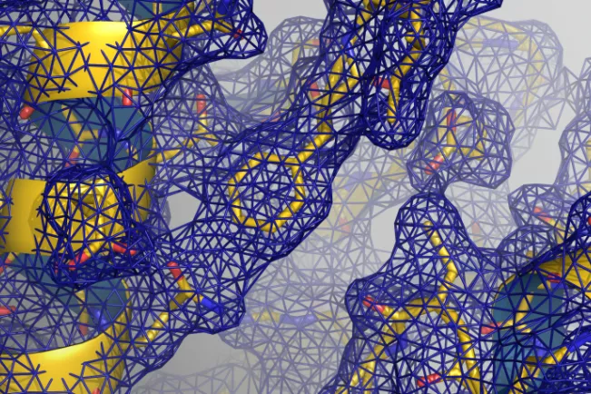 fb05_bild_structbio_webseite.png (DE)