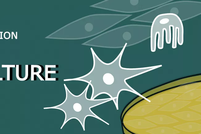 fb05_bio_cell_culture.jpg (DE)