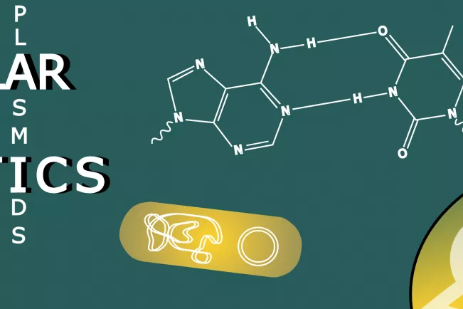 fb05_bio_molecular_genetics.jpg (DE)