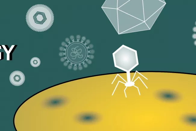 fb05_bio_virology.jpg (DE)