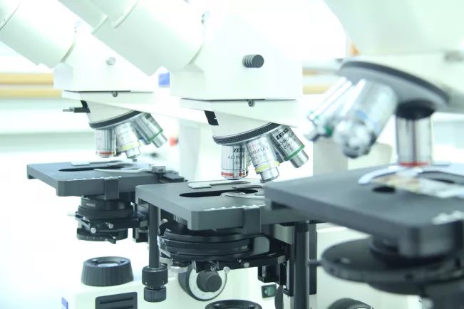 fb05_matwis_mikroskopie.jpg (DE)