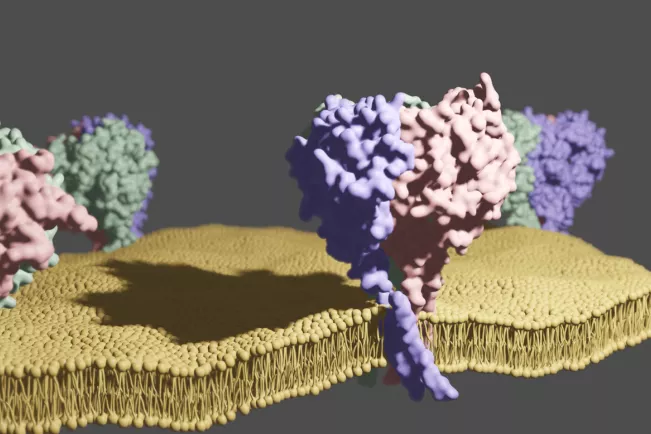 fb05_bild_modulseite_neurobiology.png (DE)