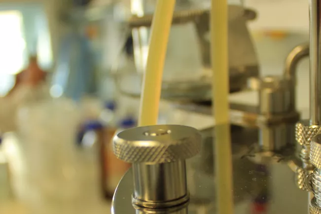 fb05_bio_biotechnology.jpg (DE)