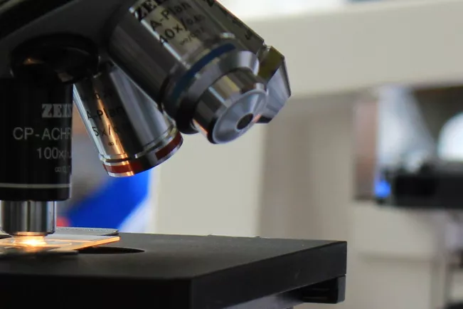 fb05_bio_histology.jpg (DE)