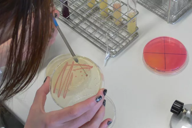 fb05_bio_med_mibi.jpg (DE)