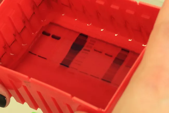 fb05_bio_proteomics.jpg (DE)