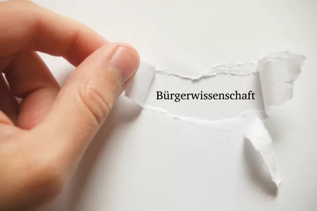 Bürgerwissenschaften.jpg (DE)