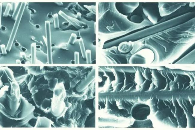 titelbild_nachhaltige_materialien2.jpg (DE)