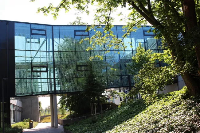 vogelschutz_glas_verbindungsgang_kuesgens.jpg (DE)