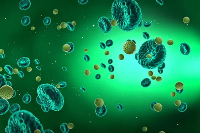 Studiengang Biomedical Sciences  COLOURBOX 23134180 (DE)