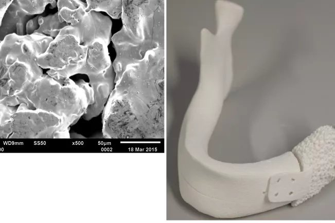 fb05_bild_forschungsprojekt_fe-sem-micro-ct_witzleben.png (DE)