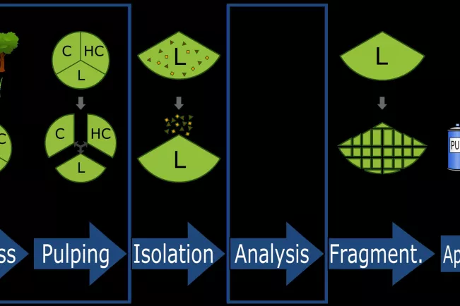 lignobau_bild_fuer_homepage.jpg (DE)