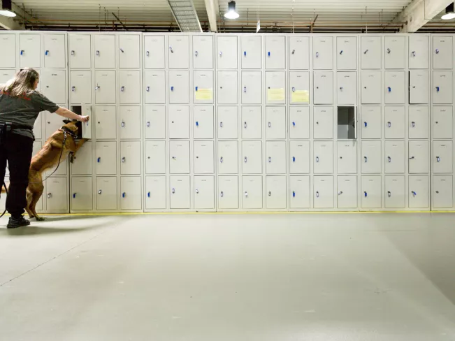 Image ISF Odorologie Spürhund Rhb Eric Lichtenscheid