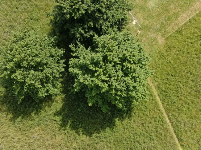 EcoTwin Testfläche H-BRS Drohne